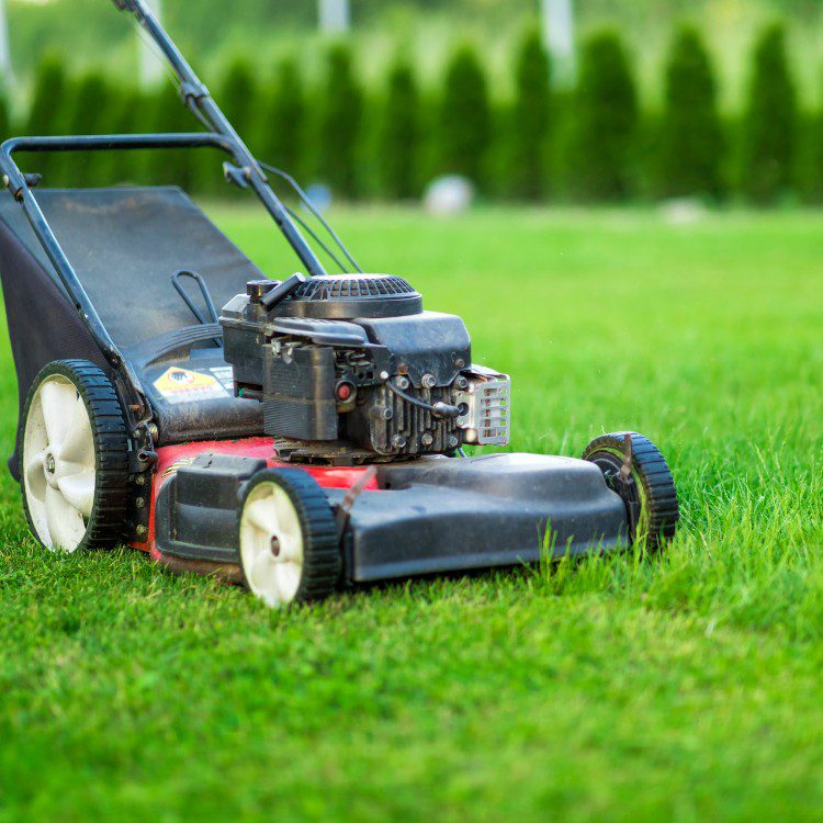 Property Maintenance in Melbourne, FL