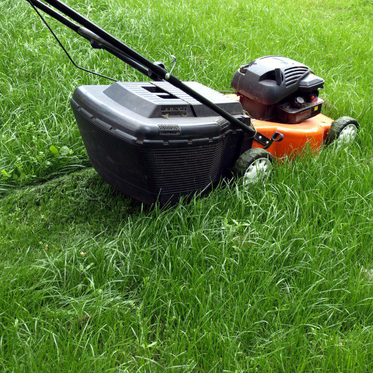 Property Maintenance in Melbourne, FL
